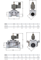 ESKA SELENOİD VANA DİŞLİ 12V 1\'\'