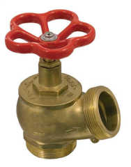 ADASAN YANGIN VANASI (TKM) 2''